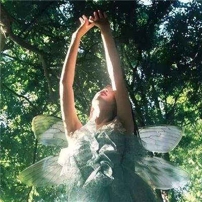 轻音少女第二季